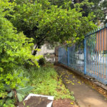 Casa à venda com 3 quartos em Bela Aliança, São Paulo, SP