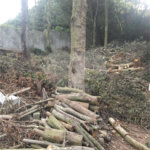 Terreno à venda no condomínio Parque Petrópolis 4 Secção, Mairiporã - SP