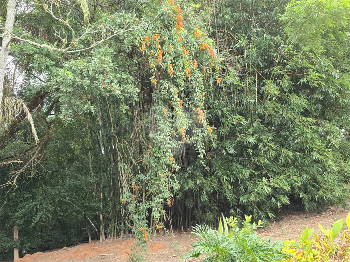 Sítio à venda com 6 quartos, sendo 5 suítes, em Área Rural de Itapetininga, Itapetininga, SP