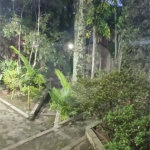 Sobrado à venda com 3 suítes em Nova Petrópolis, São Bernardo do Campo, SP