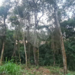 Condomínio à venda em Serra da Cantareira, Mairiporã, SP
