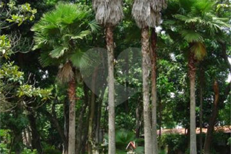 Casa Térrea à venda com 5 quartos, sendo 3 suítes, em Interlagos, São Paulo, SP