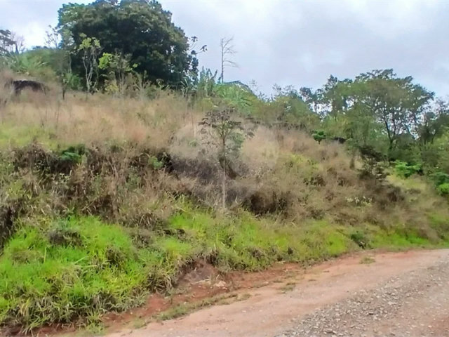 Terreno à venda em Luiz Fagundes, Mairiporã, SP