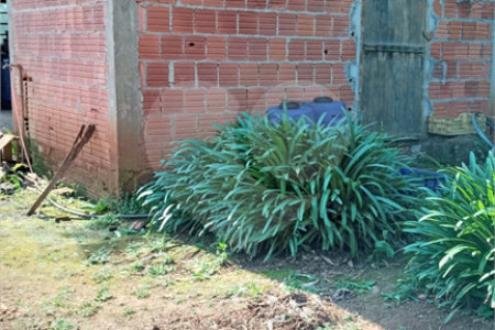 Ribeirão Grande - Bairro ferreira dos Matos - Sítio de 30.000 metros - R$ 600.000,00
