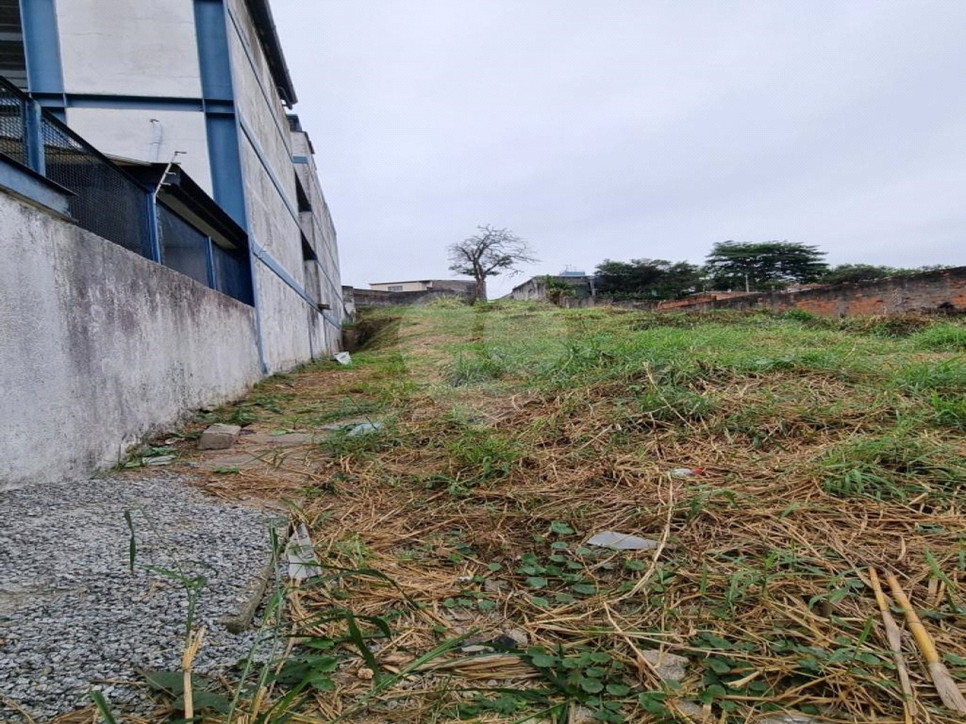 Terreno à venda em Vila Indiana, São Paulo, SP