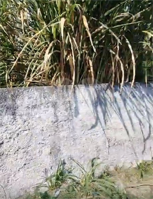 Terreno à venda em Jardim Maria Rosa, Taboão da Serra, SP
