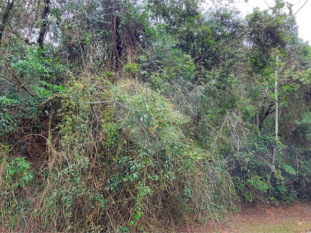 Terreno à venda no condomínio Alpes da Cantareira, Mairiporã - SP