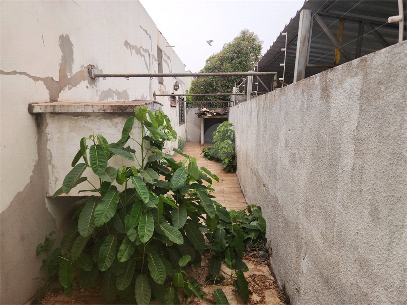 Sobrado à venda ou para alugar com 4 quartos, sendo 2 suítes, no Centro, Araraquara, SP