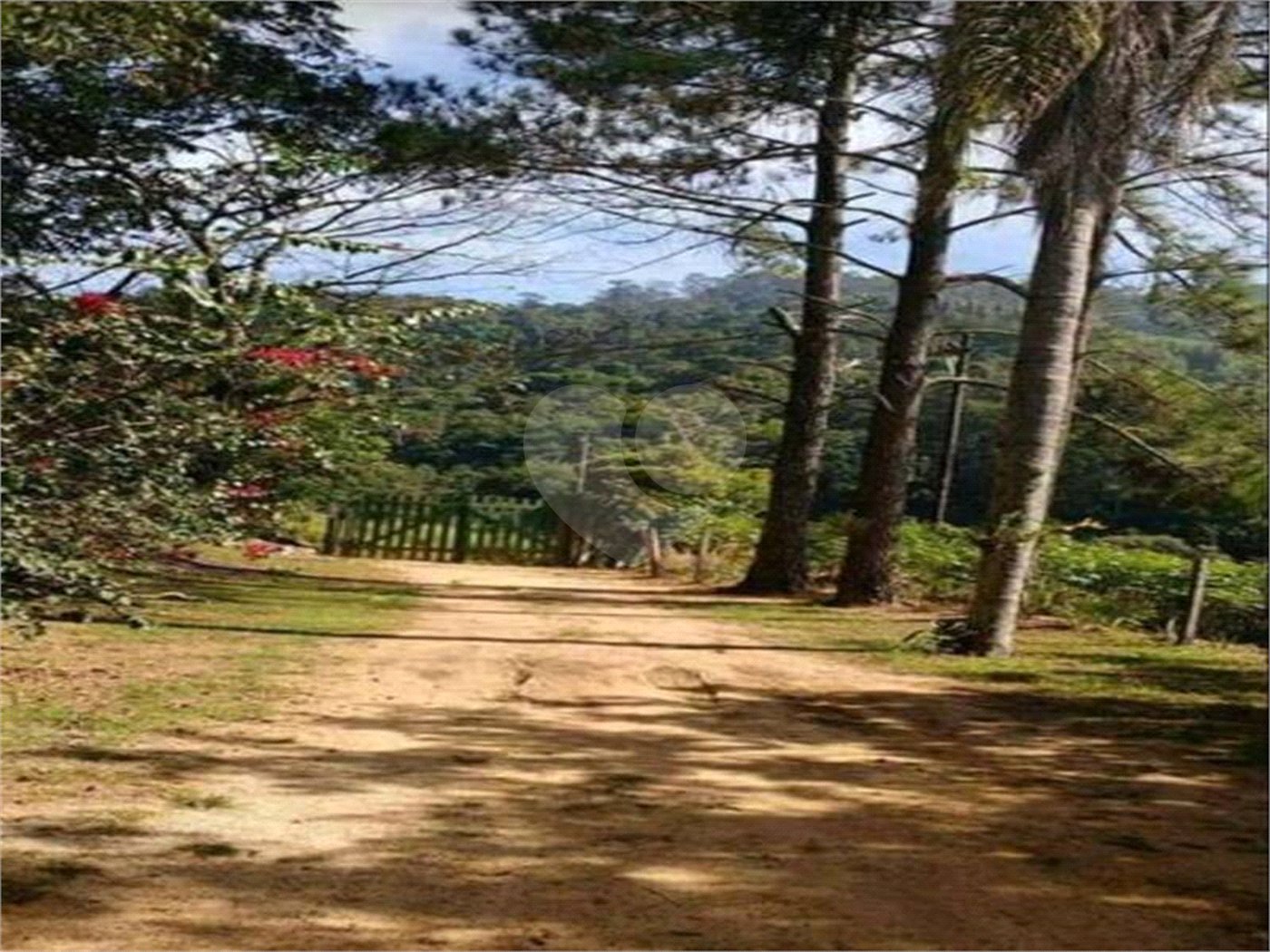 Terreno à venda em Bairro do Cambará, São Roque, SP