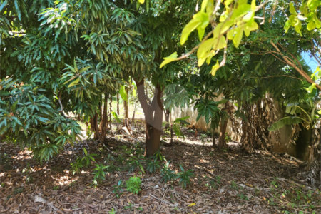 Terreno à venda em Vila Harmonia, Araraquara, SP