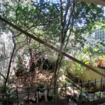 Casa à venda com 4 quartos em Vila Ipojuca, São Paulo, SP
