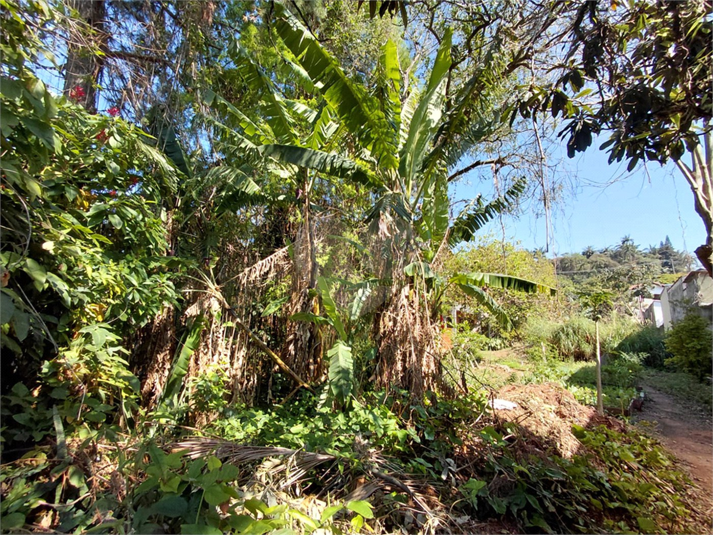 Terreno à venda em Horto Florestal, São Paulo, SP