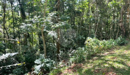 Terreno à venda no condomínio Cantareira, Mairiporã - SP