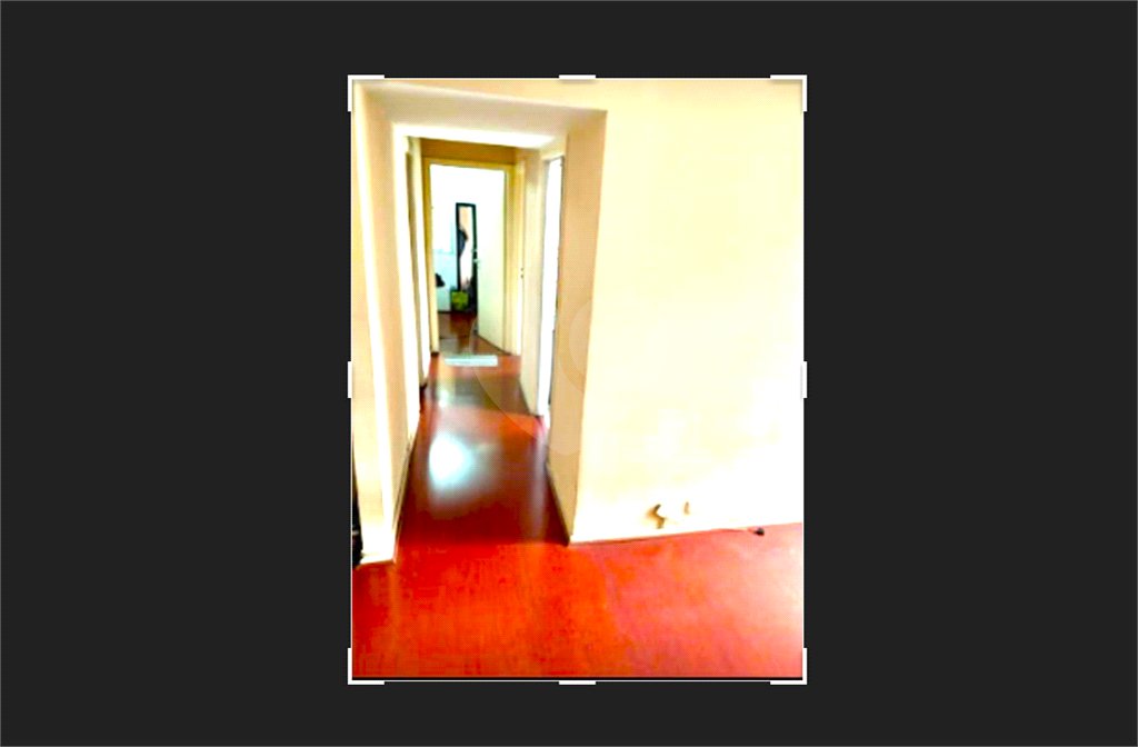 Apartamento à venda com 3 quartos em Parque São Jorge, São Paulo, SP