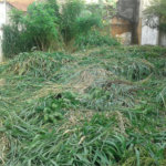Terreno à venda em Imirim, São Paulo, SP