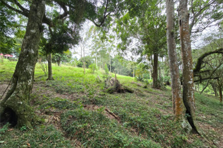 Sítio à venda com 6 quartos, sendo 5 suítes, em Área Rural de Itapetininga, Itapetininga, SP