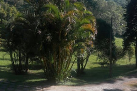 Sítio com 10 dormitórios à venda, 120000 m² por R$ 1.650.000,00 - Bairro Carmo Messias - Ibiúna/SP