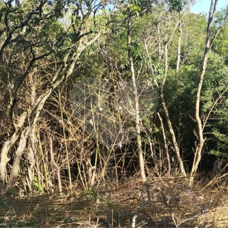 Terreno à venda em Vila Rosa, Itapetininga, SP