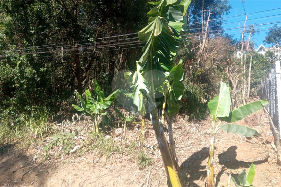 Terreno à venda em Serra da Cantareira, Mairiporã, SP