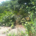 Terreno à venda em Pirituba, São Paulo, SP