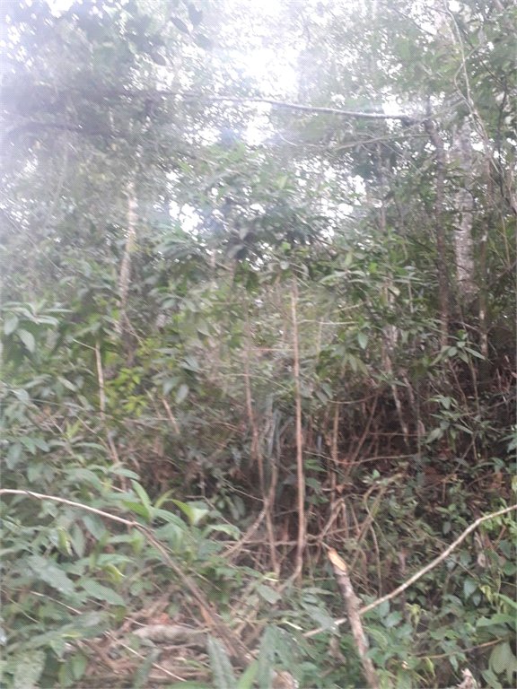 Terreno à venda em Suasalito, Mairiporã, SP