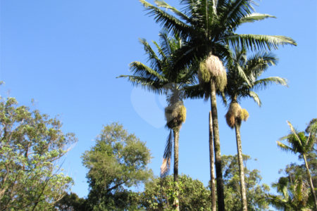 Terreno à venda em Chácara Flora, São Paulo, SP