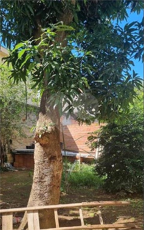 Terreno à venda em Vila Mazzei, São Paulo, SP