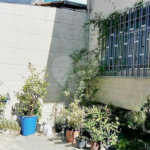 Sobrado à venda com 4 quartos, sendo 3 suítes, em Vila Nova Cachoeirinha, São Paulo, SP