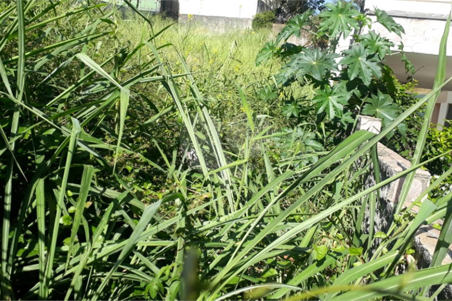Terreno à venda em Santana, São Paulo, SP