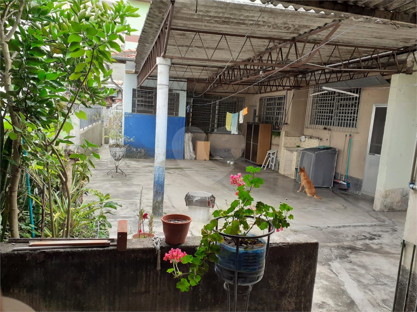 Casa Térrea à venda com 1 quarto em Campo Grande, São Paulo, SP