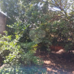 Casa à venda com 3 quartos em Jardim Santa Lúcia, Araraquara, SP