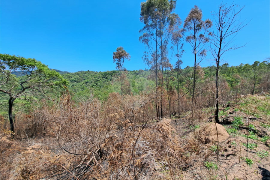 Terreno à venda em Serra da Cantareira, Mairiporã, SP
