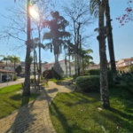 Casa à venda com 3 quartos, sendo 2 suítes, no condomínio Vila Borghese, São Paulo - SP