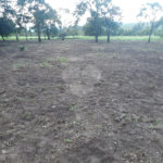 Terreno com 2.012,00 m² .