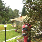 Casa à venda com 2 quartos, sendo 1 suíte, no condomínio Sausalito, Mairiporã - SP