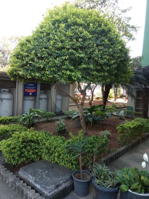 Apartamento à venda com 2 quartos em Vila Nova Cachoeirinha, São Paulo, SP