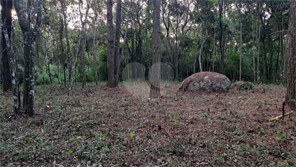 Terreno à venda em Roseira, Mairiporã, SP