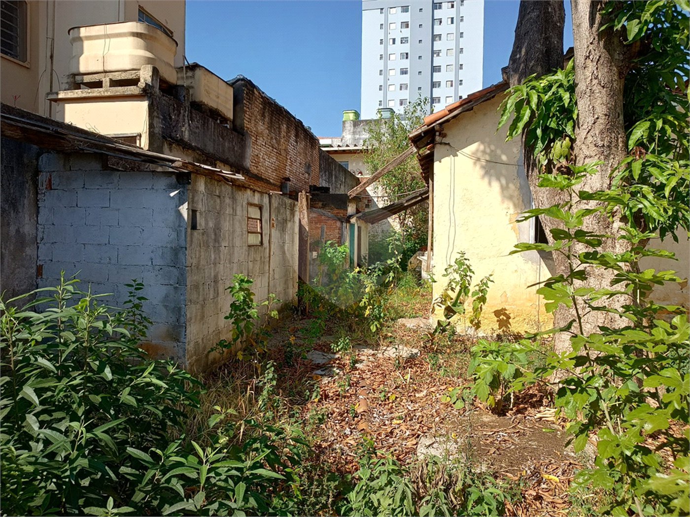 Galpão à venda com 3 quartos em Jardim Previdência, São Paulo, SP