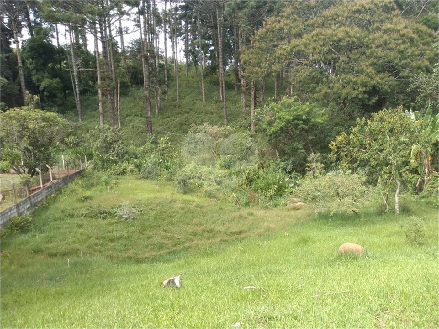 Terreno à venda em Chácara Fernão Dias, Bragança Paulista, SP