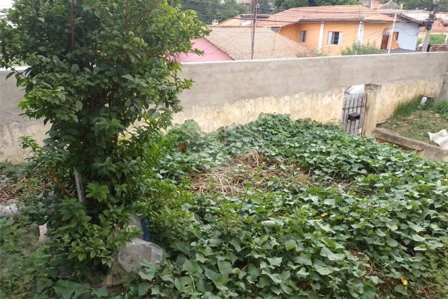 Terreno à venda com 1 quarto em Jaçanã, São Paulo, SP
