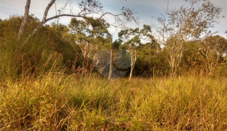 Terreno à venda em Granja Viana, Cotia, SP