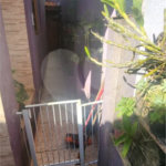 Casa Térrea à venda com 3 quartos, sendo 2 suítes, em Vila Medeiros, São Paulo, SP