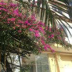 Casa à venda com 5 quartos, sendo 4 suítes, no condomínio Jardim Vitória Régia, São Paulo - SP