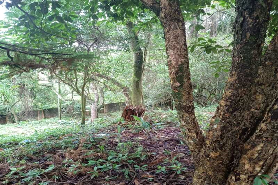 Terreno à venda no condomínio Associação Reserva das Hortênsias, Mairiporã - SP