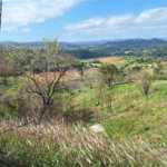 Área de Terra à venda com 1 suíte em Cocais, Itatiba, SP