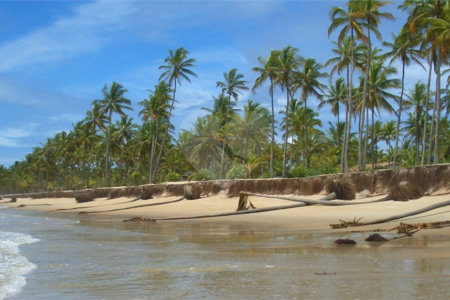 Área de Terra à venda em Mogiquiçaba, Belmonte, BA