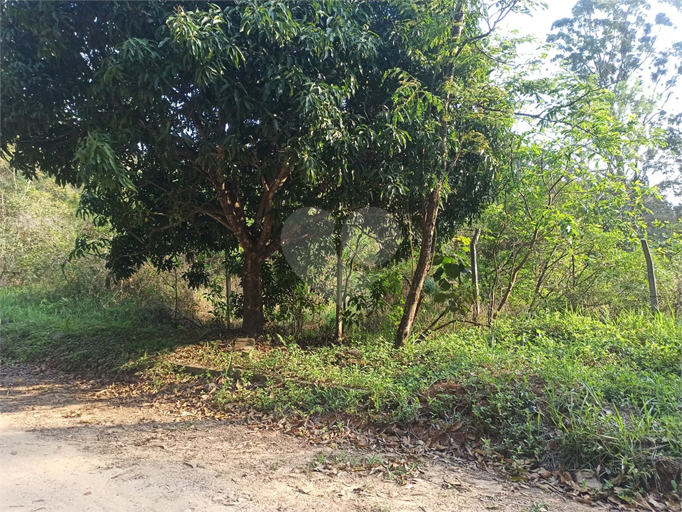 Terreno à venda em Bosque dos Eucalíptos, Atibaia, SP