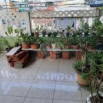 Sobrado à venda com 2 quartos em Jaçanã, São Paulo, SP