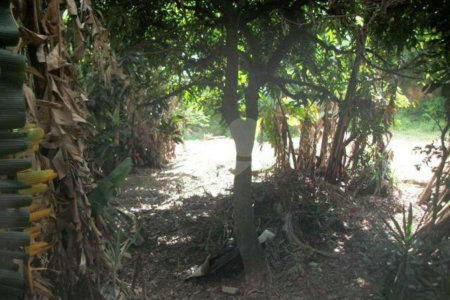 Terreno à venda em Jardim Jussara, São Paulo, SP