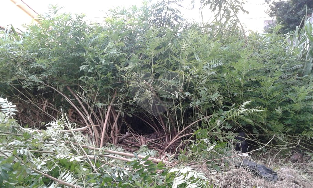 Terreno à venda em Imirim, São Paulo, SP